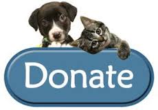 Donation to Animals in need at our animal rescue in colorado button https://www.paypal.com/donate/?hosted_button_id=RU2MAFR9U4E8W
