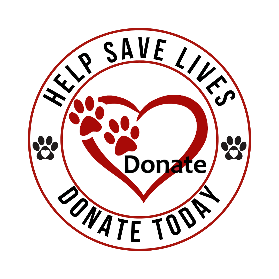 Donate to Pawsitive Restorations Animal Rescue in Colorado. Help save rescue pets. Adoptable pets, adopt a dogs, adopt a puppy in colorado
