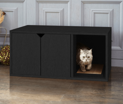 Best Cat Litter Box