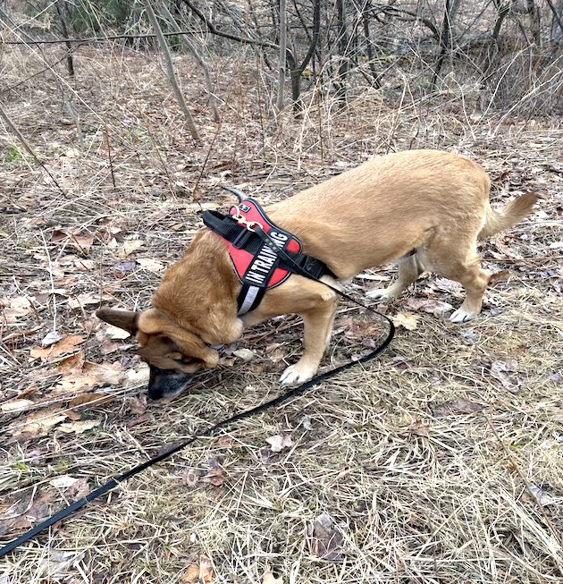 tracking website pic
