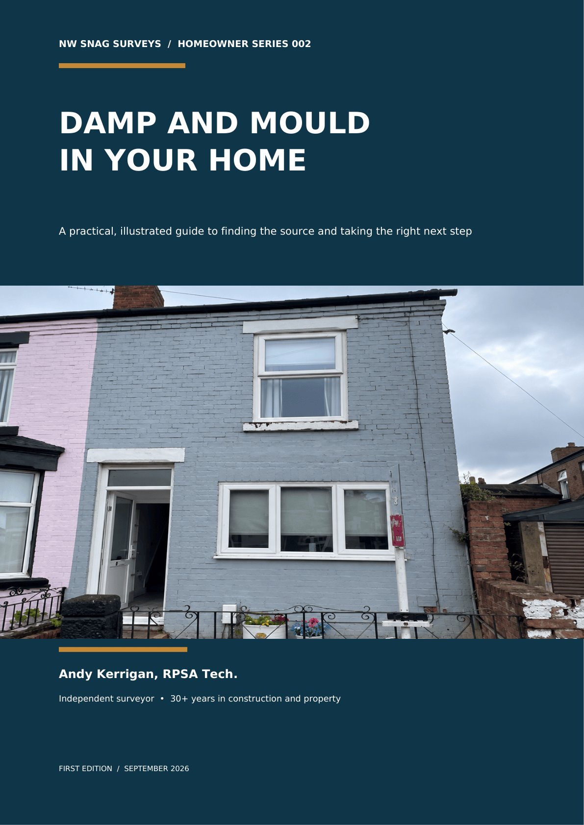 Cover of Damp and Mould in Your Home by Andy Kerrigan