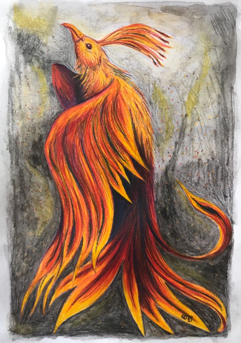 Spider Wings Payhip - Vintage Images - Ultra HD 4K Collection