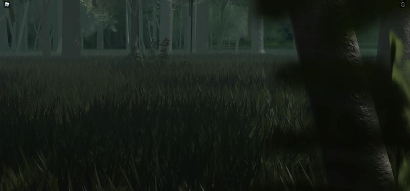 Amazon Rain Forest Payhip - Download Beautiful Light Art | High Resolution