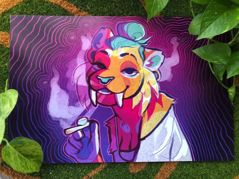 Covepalms Payhip - Sunset Pictures - Classic Retina Collection