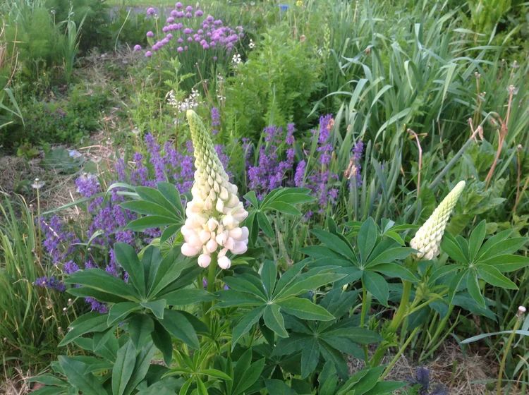 Adventures Beyond The Couch Payhip - Premium Landscape Photo Gallery - Desktop