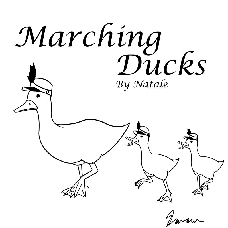 Wild Ducks Payhip - Download Artistic Sunset Image | Desktop