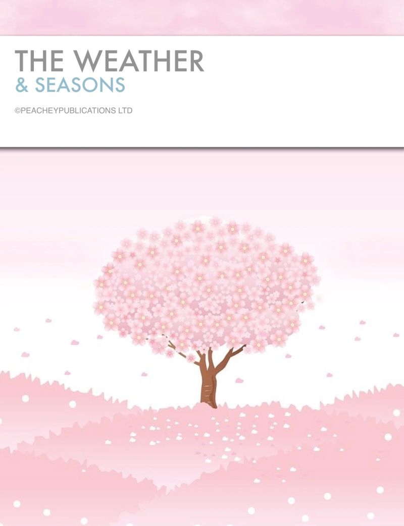 Seasons Payhip - Professional HD City Textures | Free Download