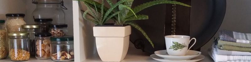 Healthy Eating Payhip - Minimal Illustration Collection - HD Quality