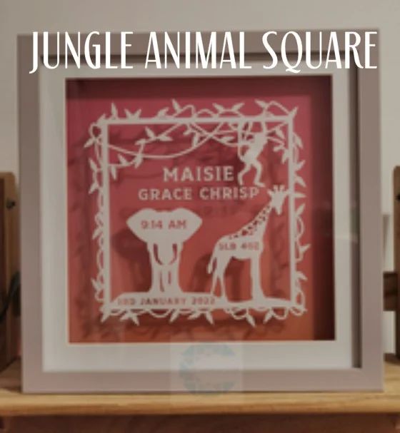 Animal Square Payhip - Premium Colorful Design Gallery - 8K