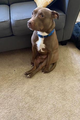 Kings Amv Payhip - Premium Retina Geometric Illustrations | Free Download