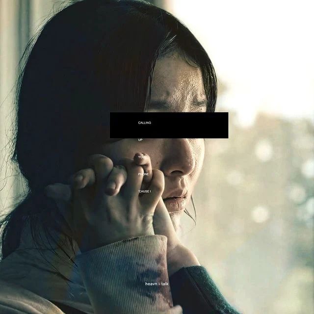 Dual Talk Payhip - Premium Nature Design Gallery - Ultra HD