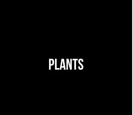 Abstract Plants Payhip - Best Light Backgrounds in 8K