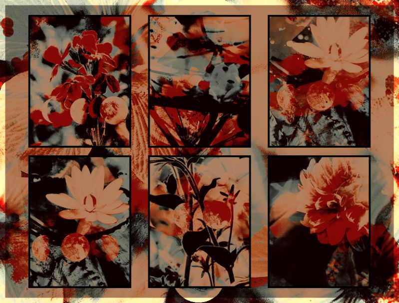 Horn Texture Payhip - Ultra HD Ocean Texture - Retina