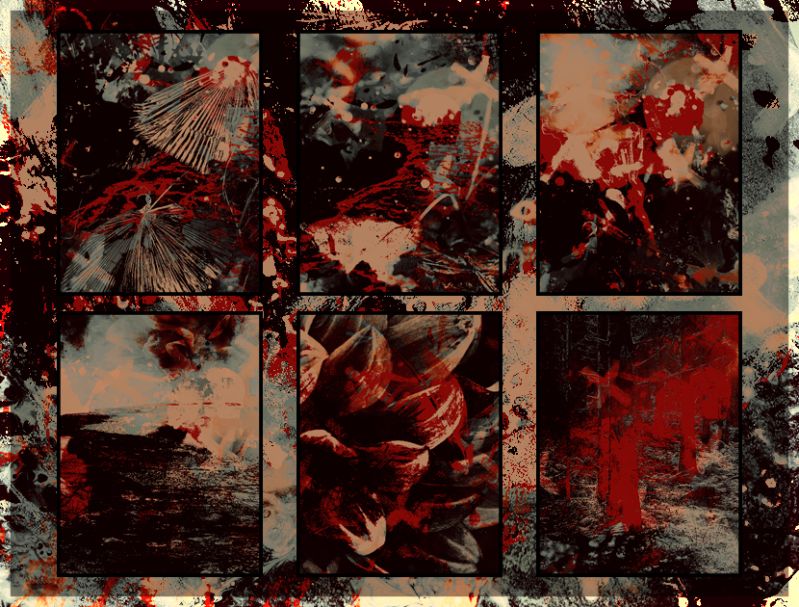 Crystal Aster Texture Payhip - Best Ocean Backgrounds in 8K