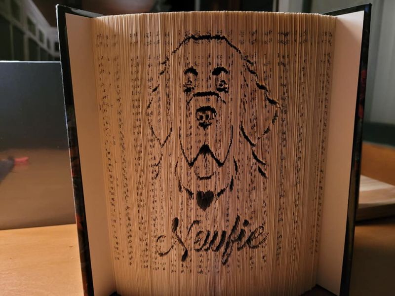 Newfoundland Payhip - Premium Ultra HD Nature Arts | Free Download