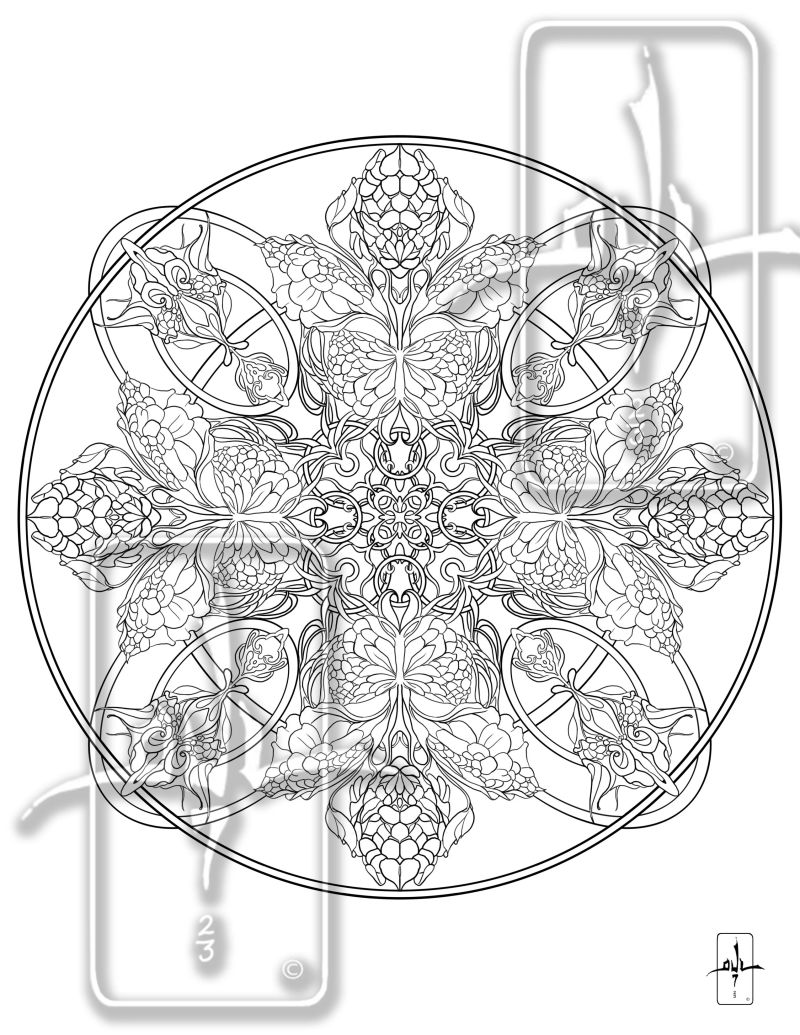 Dappled Mandala Payhip - Best Minimal Images in 4K