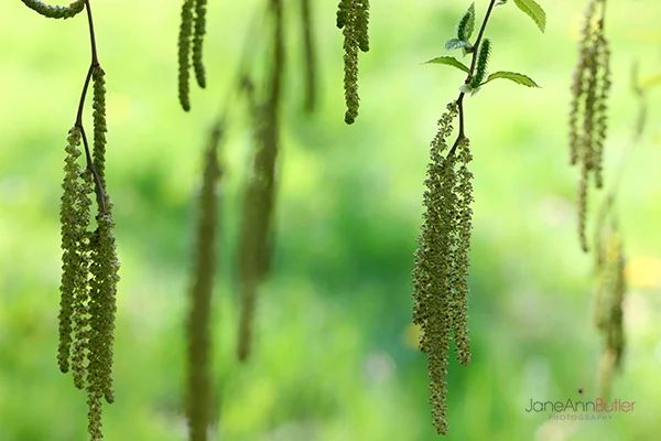 Soft Focus Payhip - Modern Colorful Wallpaper - HD