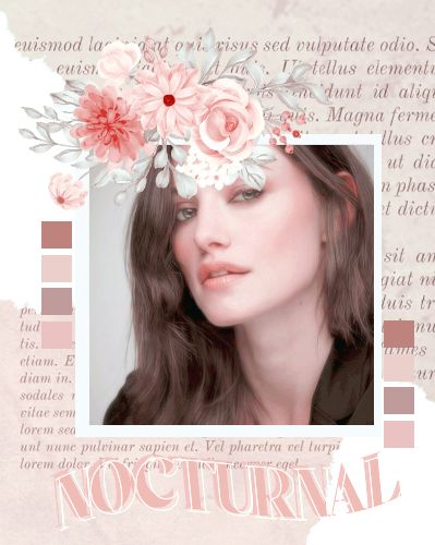 Free Stream Package Template Payhip - Elegant 4K Sunset Images | Free Download