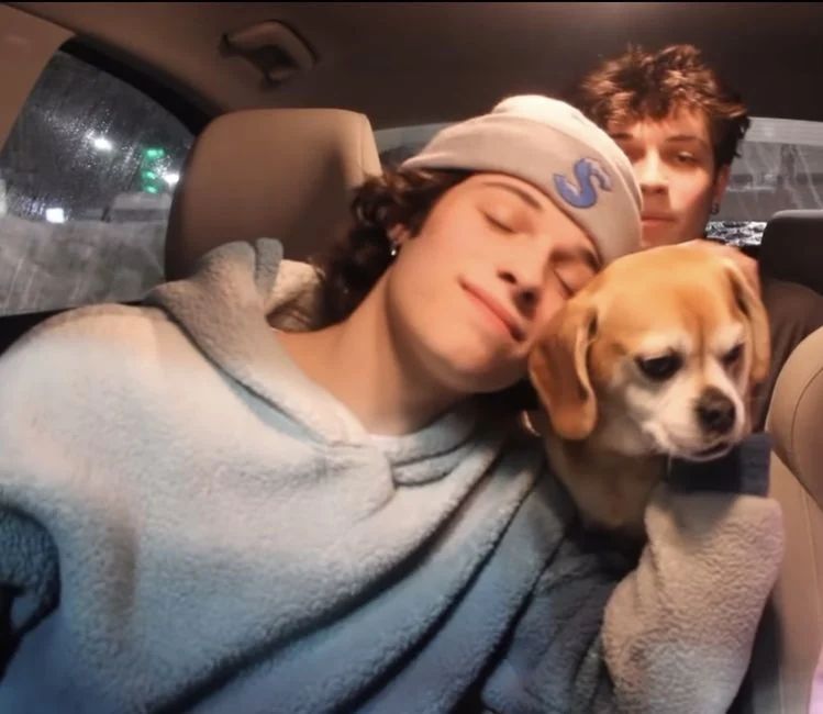 My Twixtor Payhip - 8K Sunset Designs for Desktop