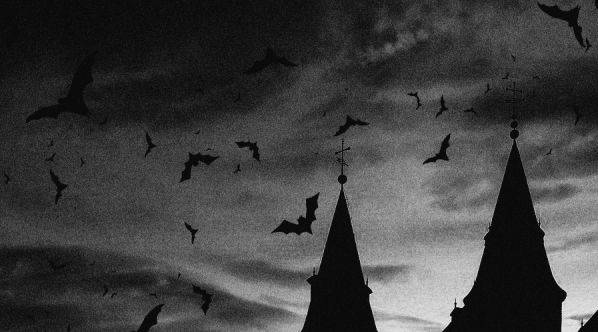 Furys Payhip - Best Dark Pictures in Retina