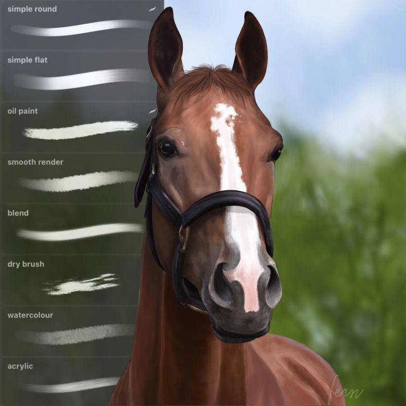 Fern Bay Payhip - Beautiful Light Illustration - Desktop