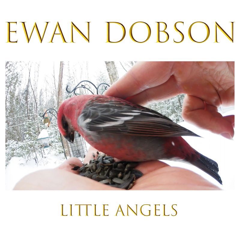 Dec Issue 2019 Payhip - Ultra HD Sunset Picture - Ultra HD