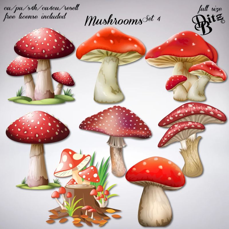 Magic Mushrooms Basic Lease Payhip - Ultra HD Gradient Image - Full HD
