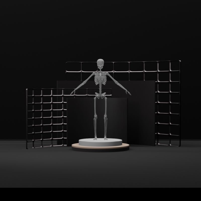 Base 5 Payhip - Best Nature Textures in HD