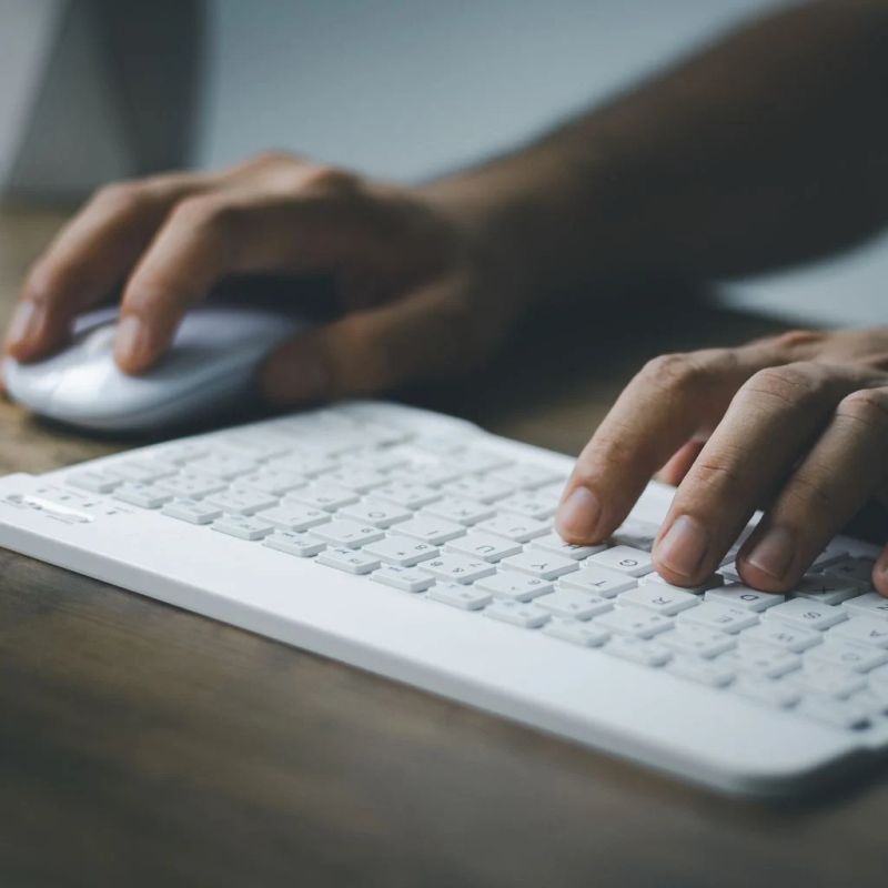 Pocket Mouse Payhip - Premium Light Photo Gallery - High Resolution