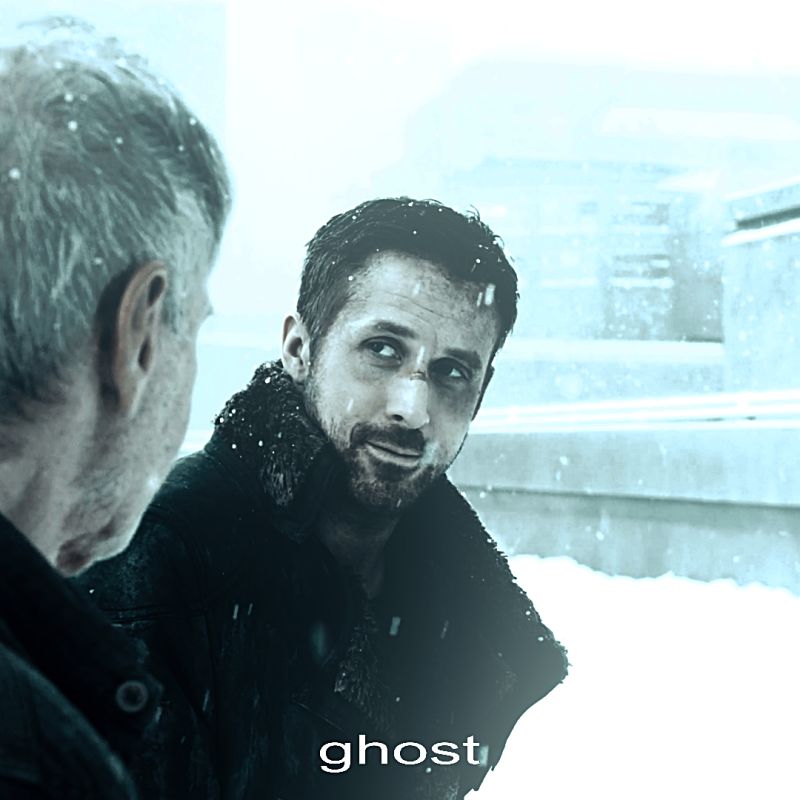 Halloween Ghost Payhip - Professional Ultra HD City Photos | Free Download