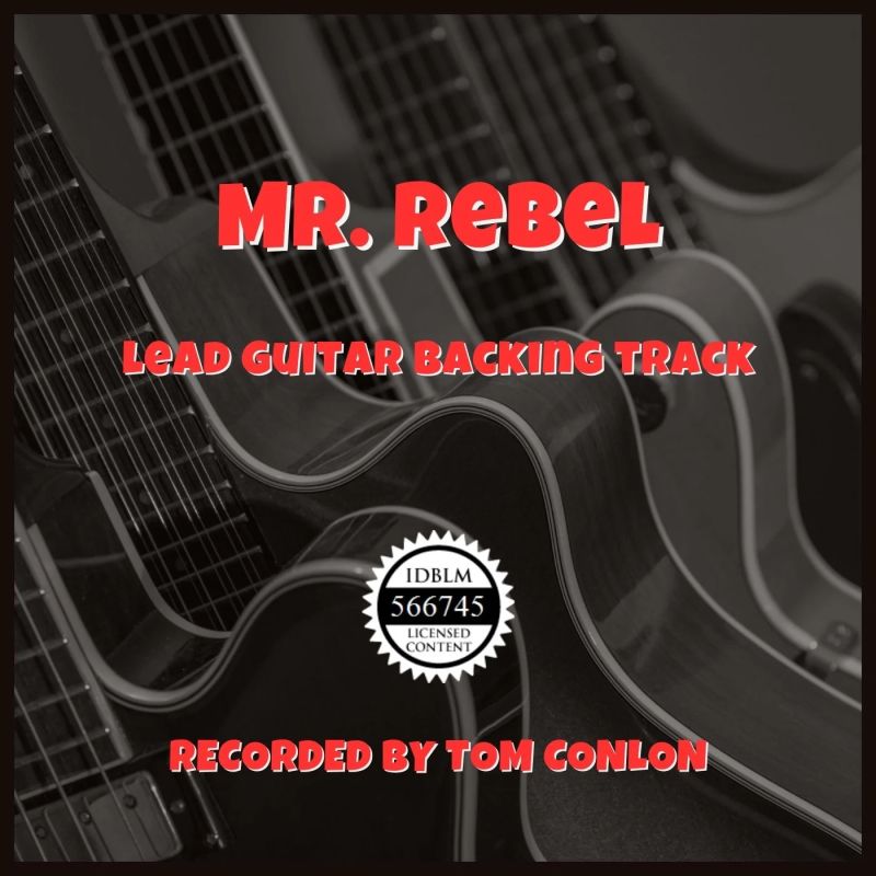 The Rebel Audiobook Payhip - Landscape Textures - Premium Ultra HD Collection