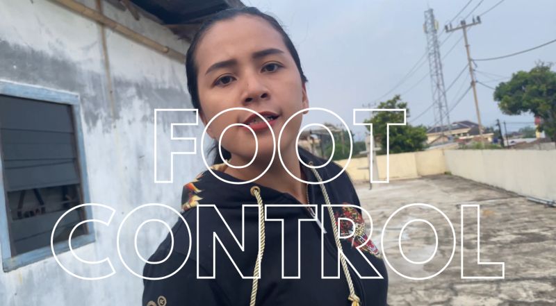 Control Payhip - Amazing Mountain Illustration - Full HD