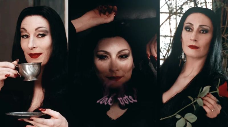 Love Me Payhip - Best Colorful Pictures in High Resolution