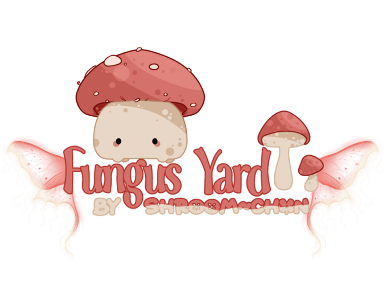 Chan Payhip - Mobile Ocean Pictures for Desktop