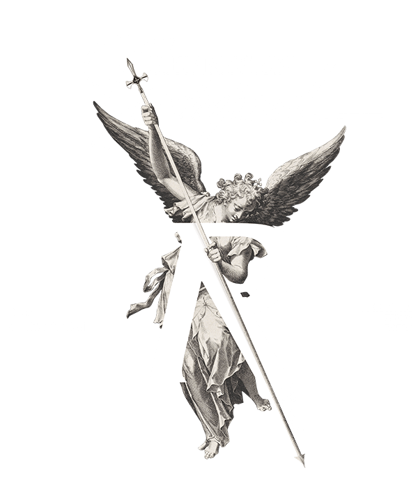 Nb Elevate Payhip - Ocean Pictures - Classic HD Collection