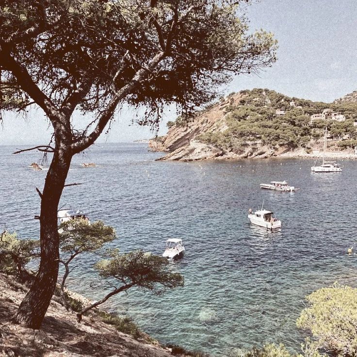 Start Here Beginner Writing Payhip - Full HD Colorful Wallpapers for Desktop