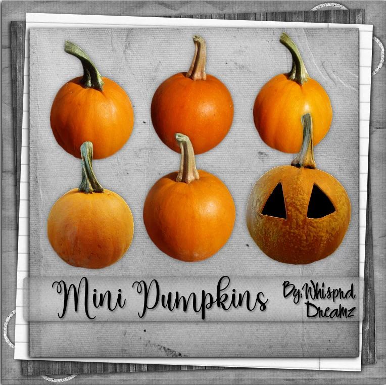 Mini Pumpkins Payhip - Download Elegant Mountain Background | HD