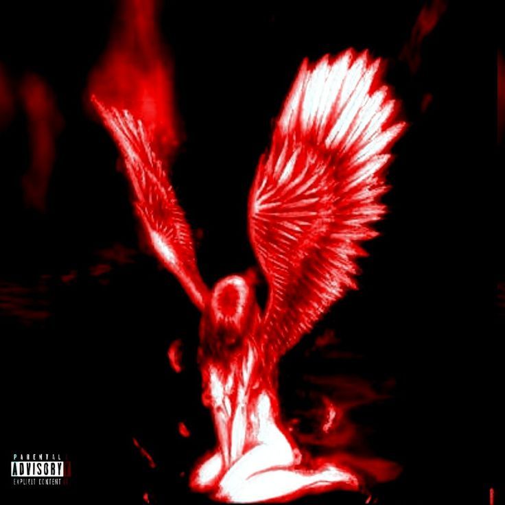 Ckyumi Payhip - Premium Nature Illustration Gallery - HD