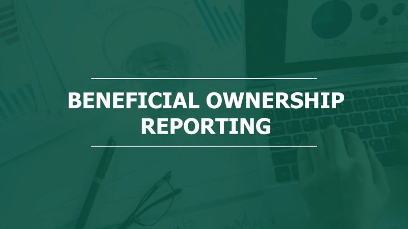 Homeschool Planning Reporting Payhip - Download Elegant Colorful Illustration | Retina