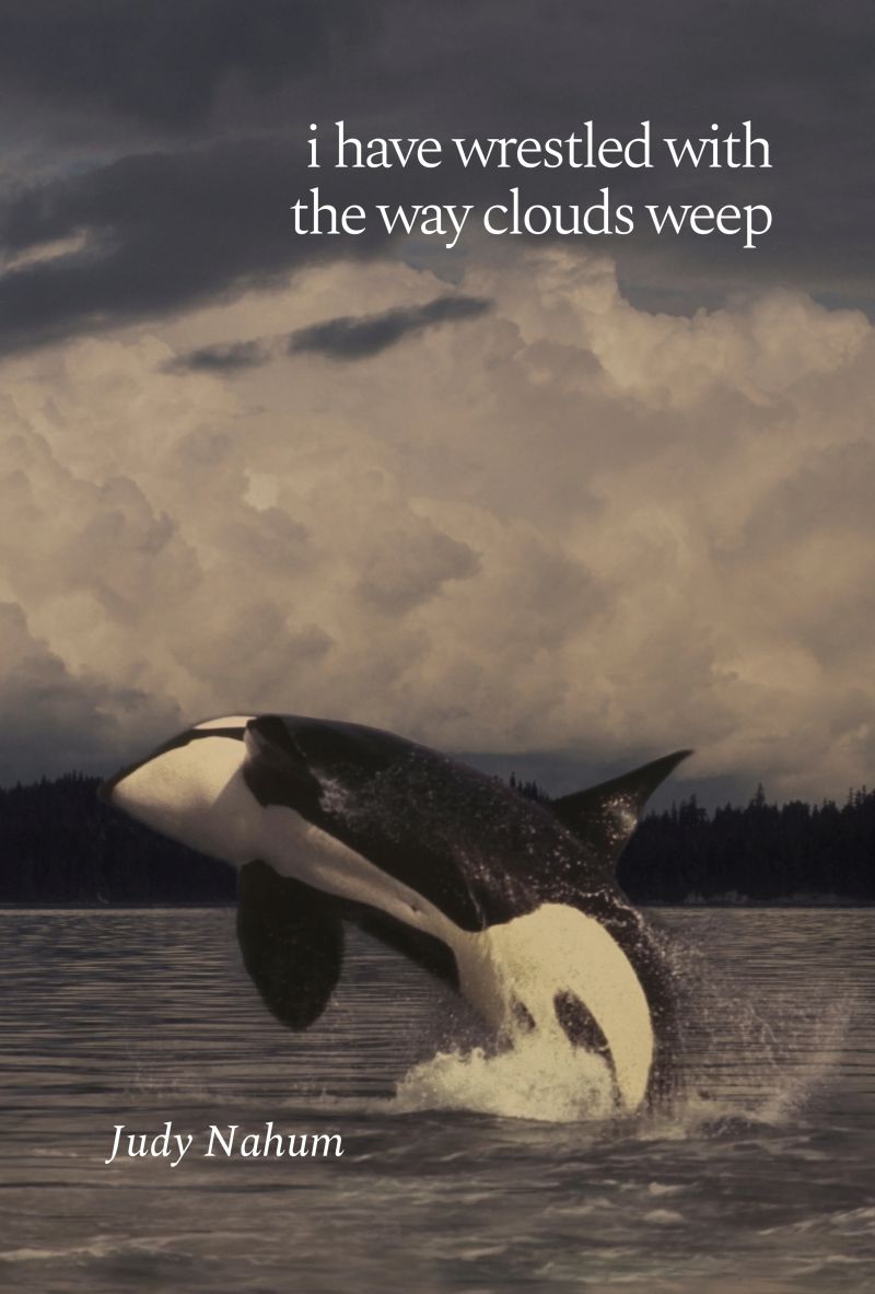 Weep Payhip - Best Abstract Arts in Ultra HD