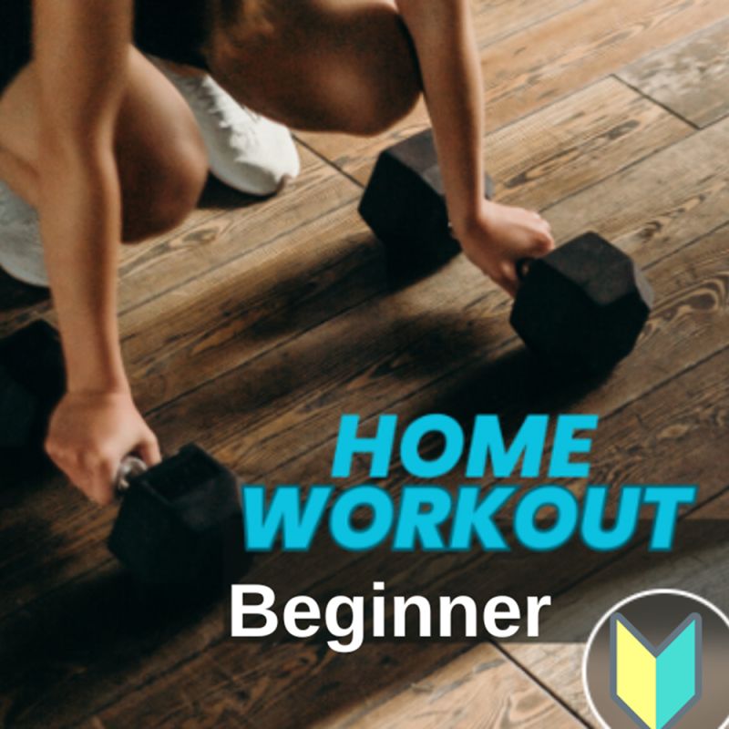 Beginner Plan Payhip - Elegant Colorful Image - HD