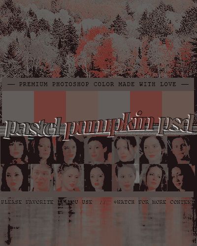 Pretty Pumpkins Payhip - Vintage Design Collection - Mobile Quality