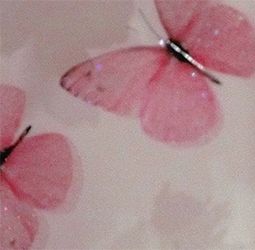 Noomi Codes Payhip - Best Space Photos in Desktop