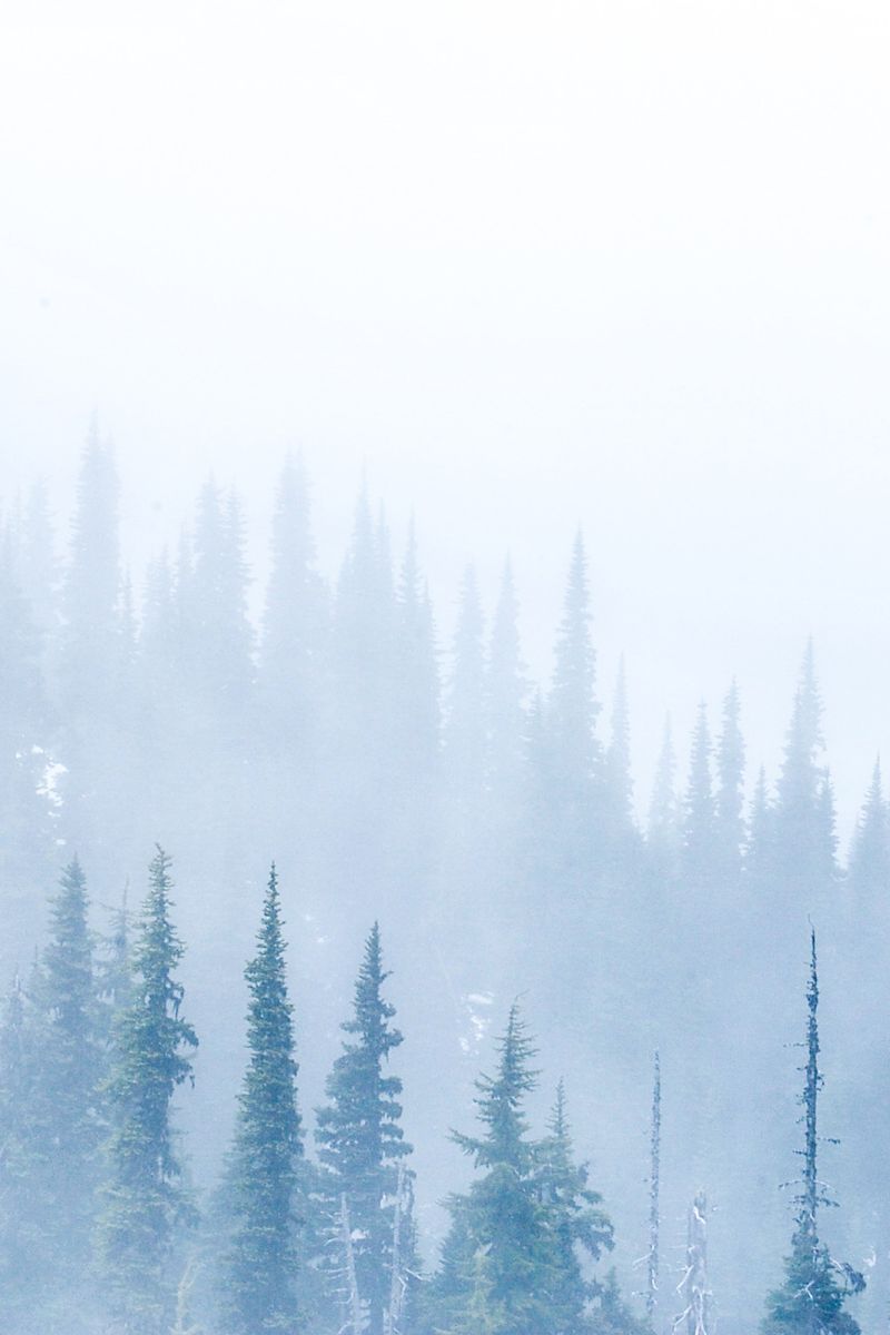 Solstice Bundle Payhip - Gorgeous 8K Mountain Patterns | Free Download