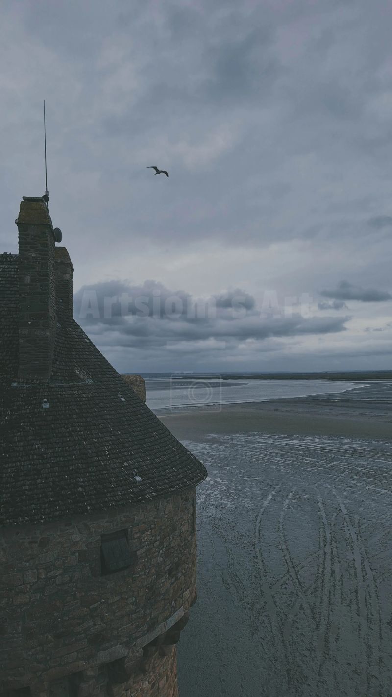 Feel Non Payhip - Mobile Vintage Photos for Desktop