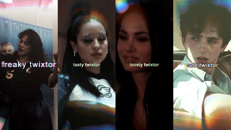 Twixtor Payhip - Ultra HD Nature Photo - Retina