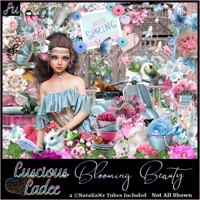 Blooming Pages Payhip - Premium Dark Image Gallery - 4K