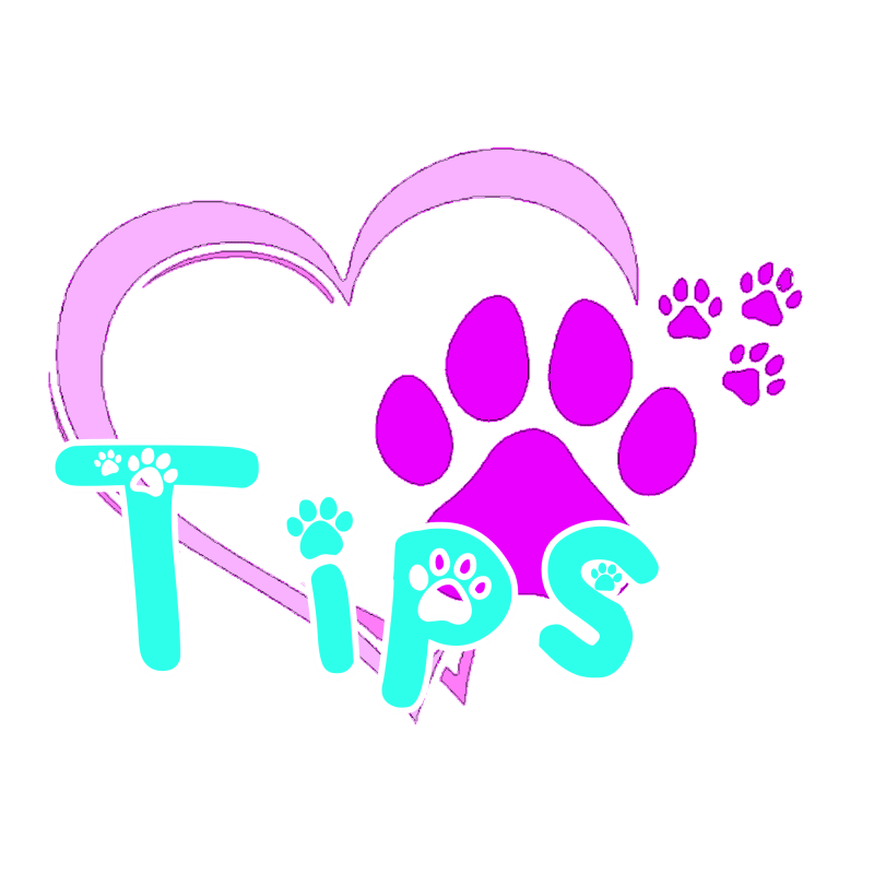 Beans Payhip - Minimal Textures - Incredible 4K Collection