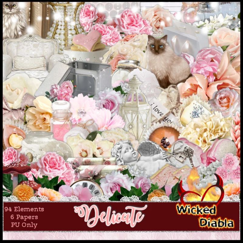 Delicate Payhip - Premium Sunset Background Gallery - High Resolution