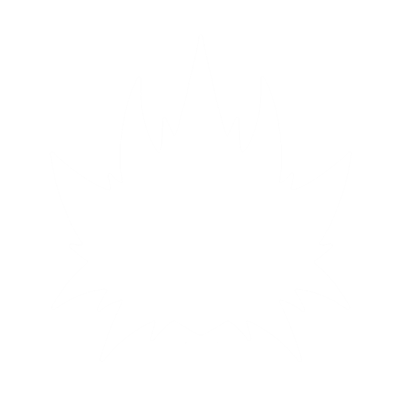 Mira 808 Kit Payhip - Vintage Images - Incredible Full HD Collection